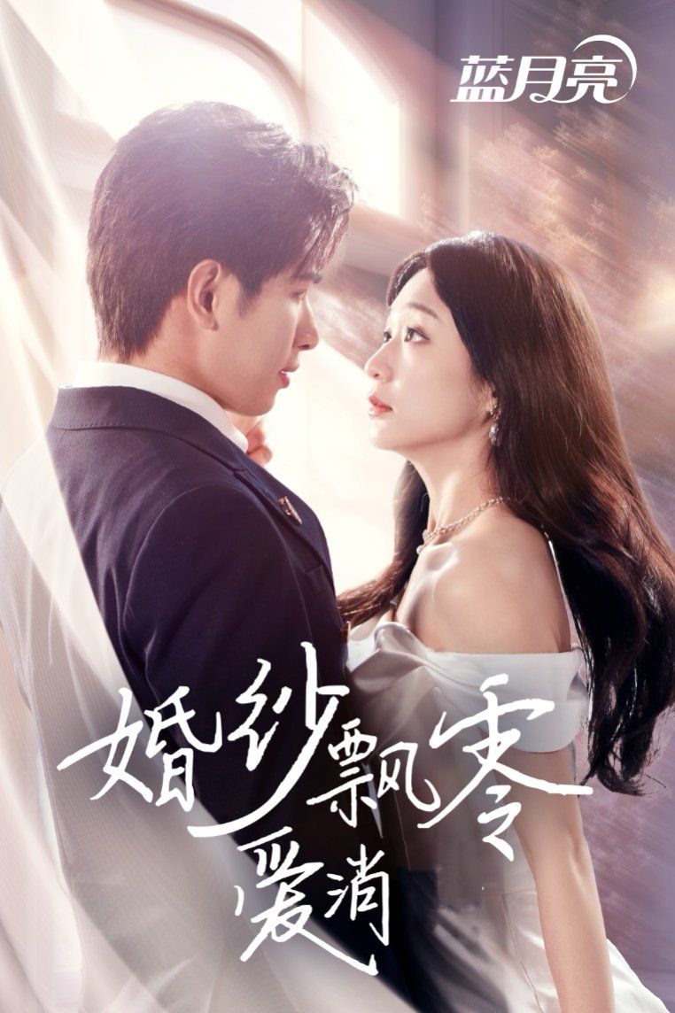 婚紗飄零愛(ài)消弭(全集)