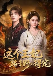 這個(gè)王妃路子野，得寵(全集)