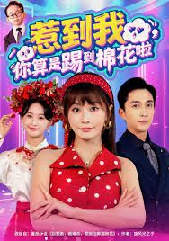 惹到我，你算是踢到棉花啦(全集)