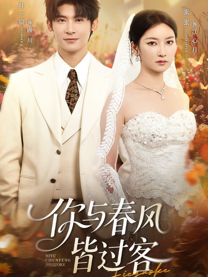 你與春風(fēng)皆過客(全集)