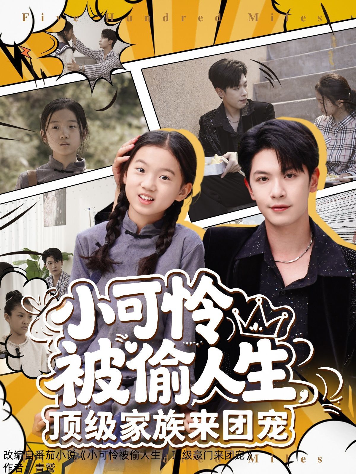 小可憐被偷人生，頂級家族來團(tuán)寵(全集)