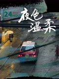 夜色溫柔(全集)