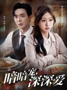 暗暗寵深深愛(全集)