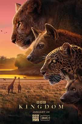 動(dòng)物王國(guó)2025(全集)