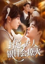 封總，夫人銀針會撩火(全集)