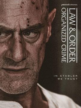 法律與秩序：組織犯罪第五季(全集)