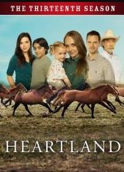 心靈之地第十三季(全集)